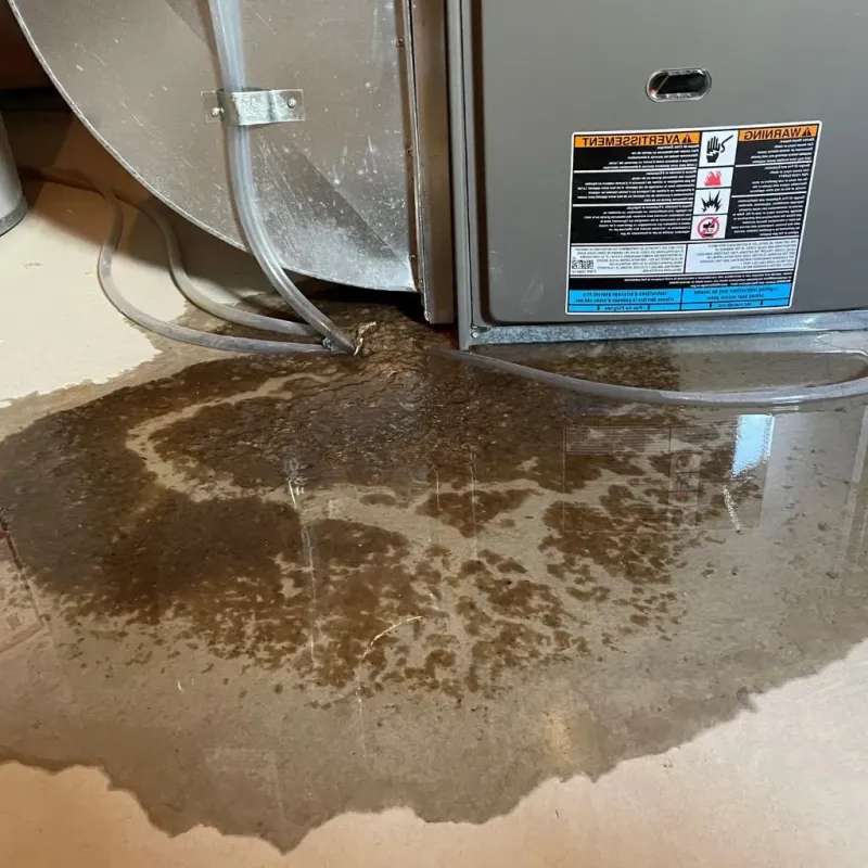 Pipe Burst and Leak Restoration in Lyons, NY